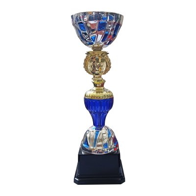 Copa SBA10