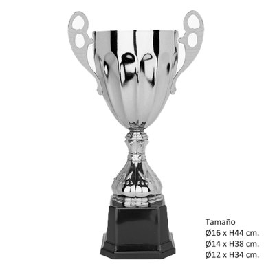 Imagen 8 de KIT B (21 Copas)