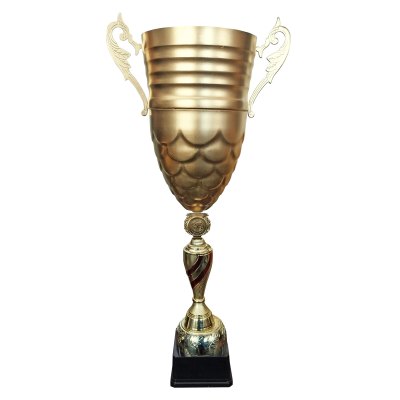 Imagen 3 de Copa JN