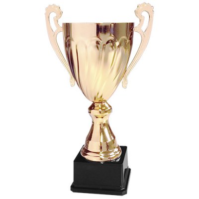 Copa CY 2013