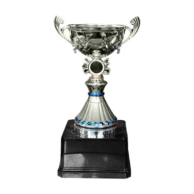 Imagen 3 de Copa VIC