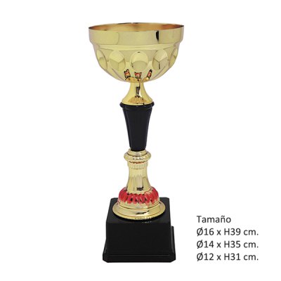 Imagen 4 de KIT B (21 Copas)