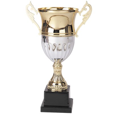 Imagen 2 de Copa 2006