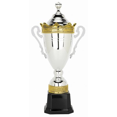 Imagen 2 de Copa H200