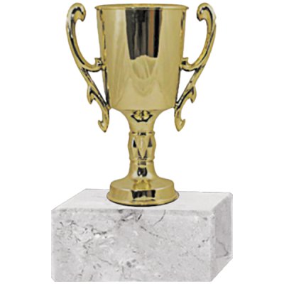 Trofeo Plástico Copa Chica  2