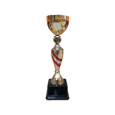 Copa DAN