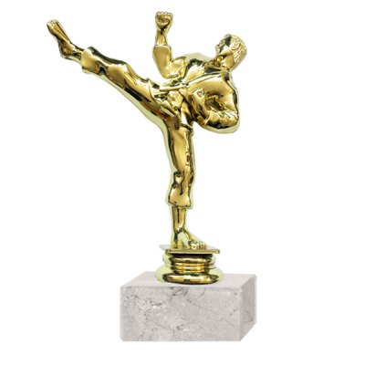 Trofeo plástico Artes Marciales RP-8015