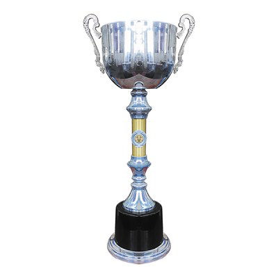 Imagen 2 de Copa Eterno Campeón 720