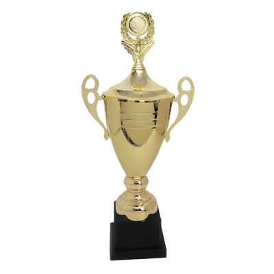 Imagen 2 de Copa CY 313