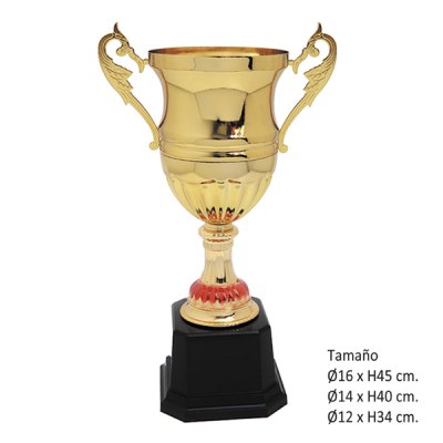 Imagen 5 de KIT B (21 Copas)