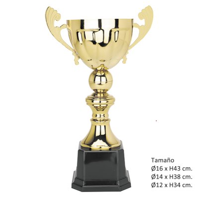 Imagen 7 de KIT B (21 Copas)