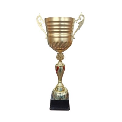 Imagen 2 de Copa JN