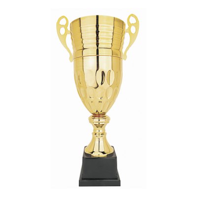 Imagen 2 de Copa CY 220